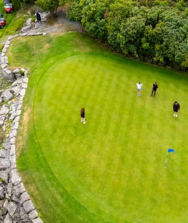 Guests playing golf